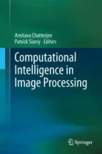 Computational Intelligence in Image Processing