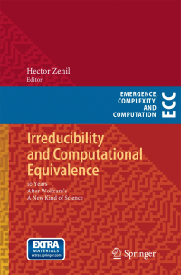 Irreducibility and Computational Equivalence