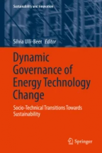 Dynamic Governance of Energy Technology Change