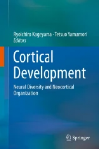 Cortical Development